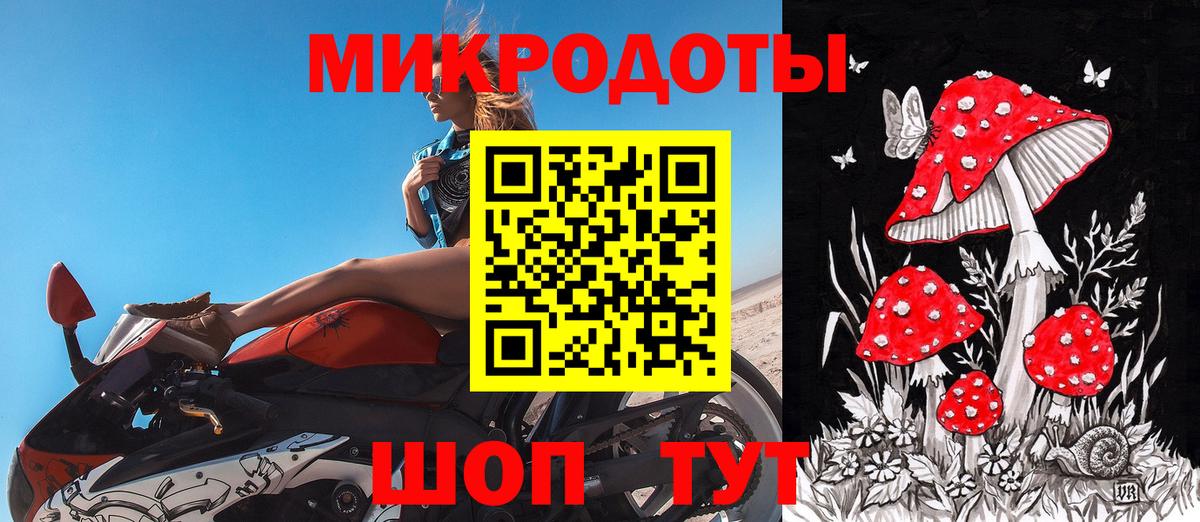 Галлюциногенные грибы Psilocybe Воронеж