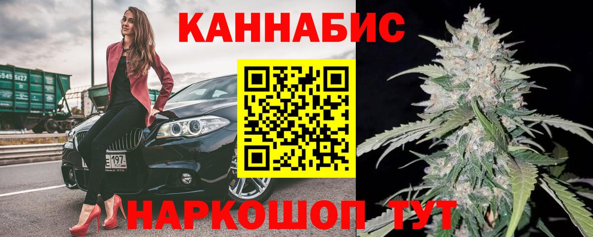 Каннабис OG Kush Воронеж